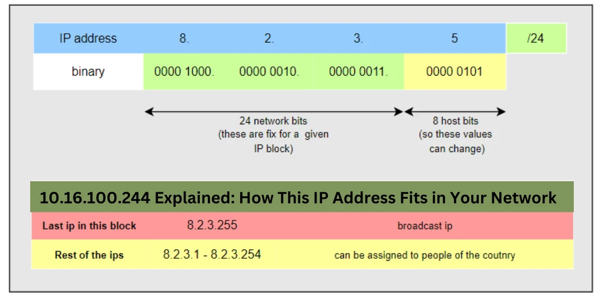 This emage showing a 10.16.100.244 Explained How This IP Address Fits in Your Network